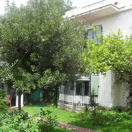 Guest house Escandinavia